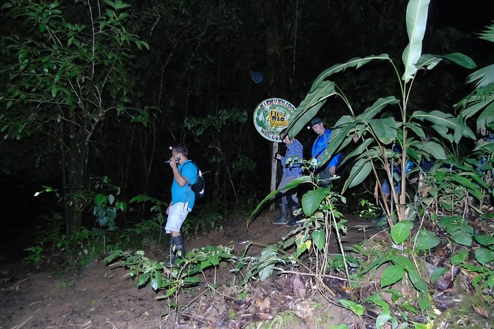 Night Tour Traail